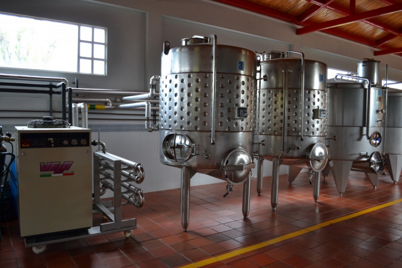 cave-BAUDUEN-min_wine_production_cantine_winery_drink_alcohol_vine_beverage-902036